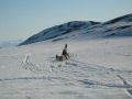 Sokonger ved Ukalerateq, maj 2006 00109.jpg